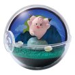 Photo1: Pokemon 2020 Terrarium Collection vol.8 #2 Clefairy Mini Figure (1)