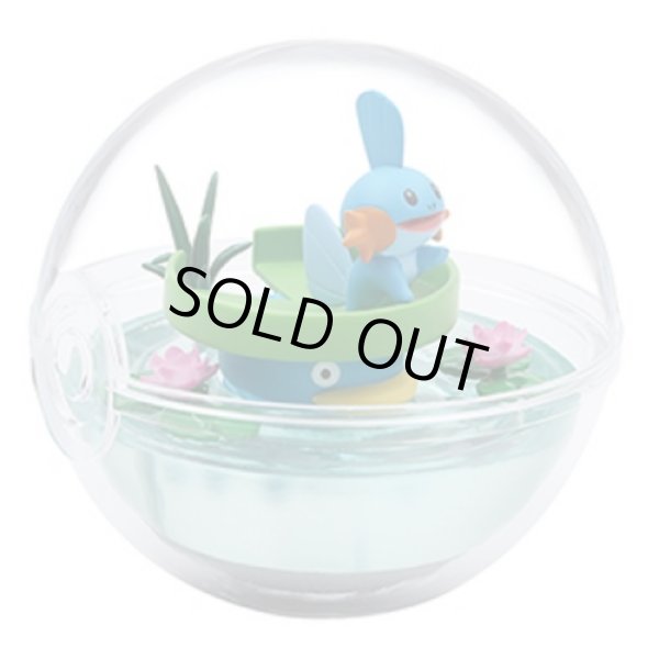 Photo1: Pokemon 2020 Terrarium Collection vol.8 #3 Mudkip & Lotad Mini Figure (1)