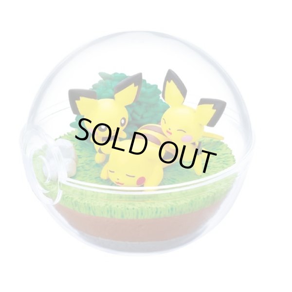 Photo1: Pokemon 2021 Terrarium Collection vol.9 #1 Pikachu & Pichu Mini Figure (1)