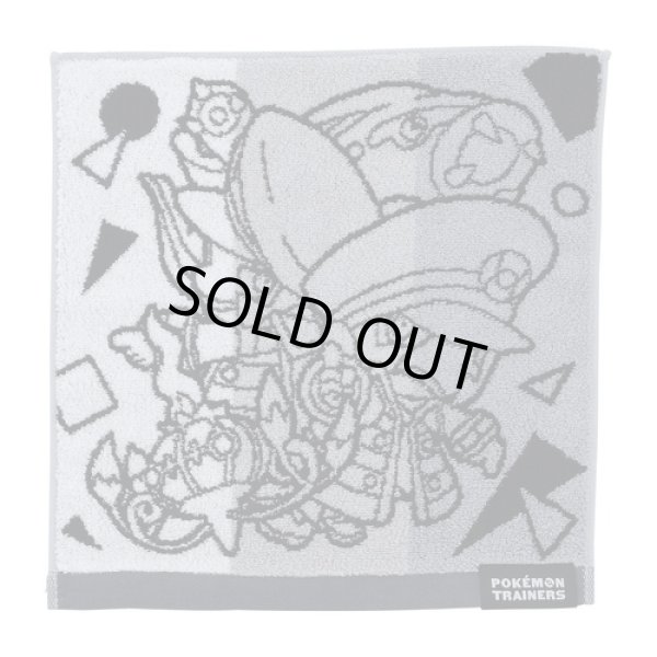 Photo1: Pokemon Center 2020 Pokemon Trainer Hand towel Handkerchief Emmet Ingo (1)