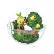 Photo1: Pokemon 2020 Terrarium Collection EX Galar edition #4 Grookey Mini Figure (1)