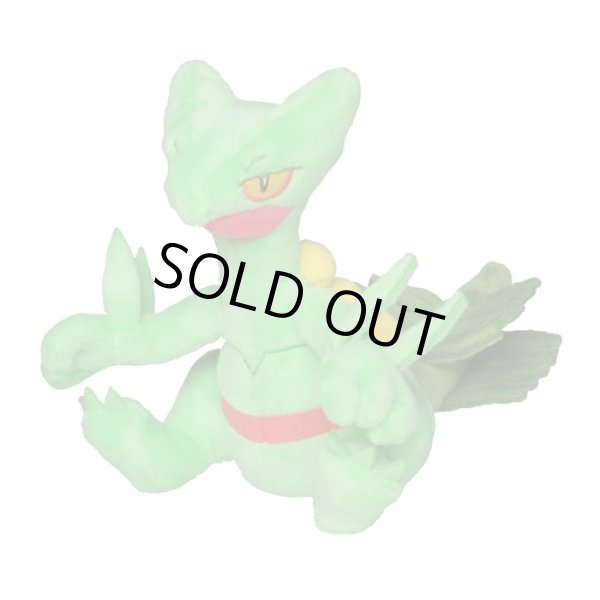 Photo1: Pokemon Center 2021 Pokemon fit Mini Plush #254 Sceptile doll Toy (1)
