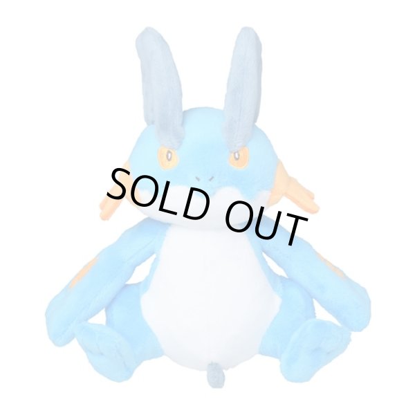 Photo1: Pokemon Center 2021 Pokemon fit Mini Plush #260 Swampert doll Toy (1)