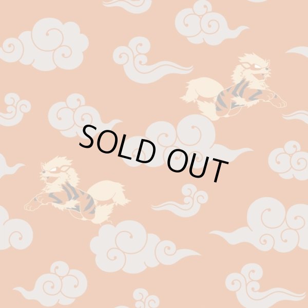 Photo2: Pokemon Center 2021 ZEBRA SARASA Pokemon Shirts Ballpoint pen #59 Arcanine (2)