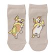 Photo1: Pokemon Center 2021 Minna Otsukaresama Socks for Women 23 - 25 cm 1 Pair Yamper (1)