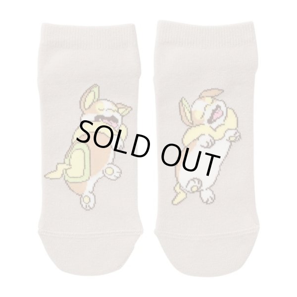 Photo1: Pokemon Center 2021 Minna Otsukaresama Socks for Women 23 - 25 cm 1 Pair Yamper (1)