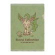 Photo1: Pokemon Center 2021 Eievui Collection A4 Size Clear File Folder Leafeon ver. (1)