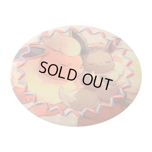 Photo1: Pokemon Center 2021 Honwaka Poka Poka Embroidered Tin badge Safety pin Flareon Eevee (1)