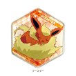 Photo1: Pokemon 2020 Honeycomb Acrylic magnet Flareon (1)