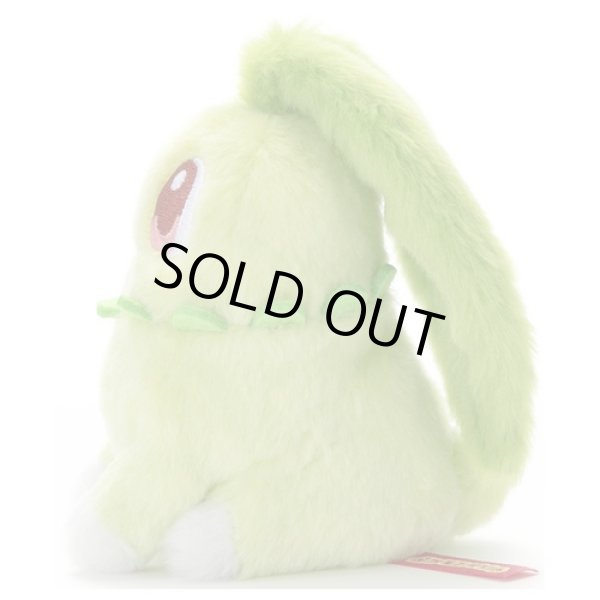 MEGA, BIG Bun Plushie – liliuhms shop