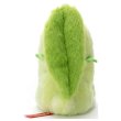 Photo3: Pokemon 2021 Takara Tomy Arts Pokemon Finger Puppet Chikorita Plush doll (3)