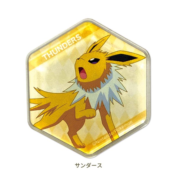 Photo1: Pokemon 2020 Honeycomb Acrylic magnet Jolteon (1)