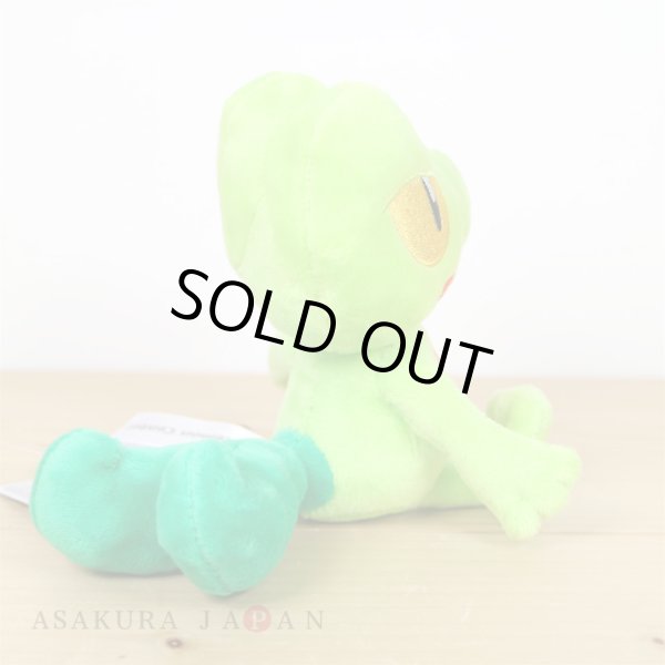 Photo3: Pokemon Center 2021 Pokemon fit Mini Plush #252 Treecko doll Toy (3)