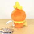 Photo3: Pokemon Center 2021 Pokemon fit Mini Plush #255 Torchic doll Toy (3)