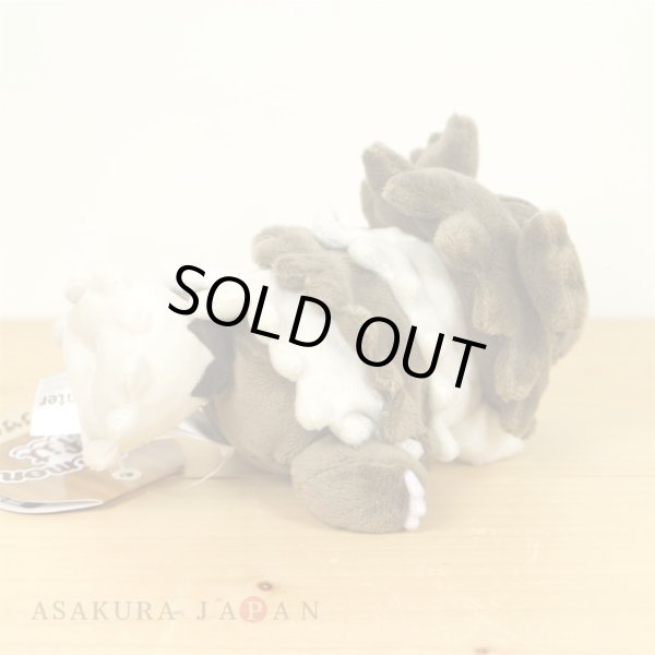 Photo3: Pokemon Center 2021 Pokemon fit Mini Plush #263 Zigzagoon doll Toy (3)