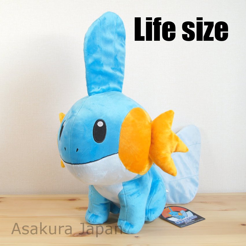 pokemon center mudkip